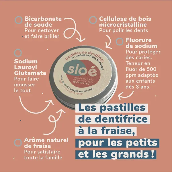 SL-DENT-PAST-60 | Dentifrice Solide en Pastilles Menthe (60) – Sloé Nature 6.webp